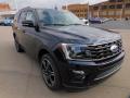 2021 Expedition Limited 4x4 #9