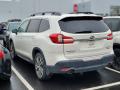 2019 Ascent Limited #4