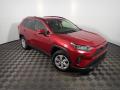 2019 RAV4 LE AWD #3