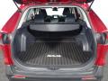 2019 RAV4 LE AWD #15