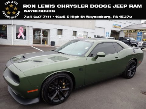 F8 Green Dodge Challenger R/T Scat Pack Stars and Stripes Edition.  Click to enlarge.