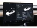 Controls of 2021 Tesla Model Y Long Range AWD #19