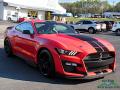  2020 Ford Mustang Race Red #7
