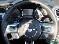 2021 Mustang GT Premium Convertible #16