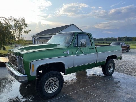 Shamrock Green Metallic Chevrolet C/K C10 Silverado Regular Cab.  Click to enlarge.