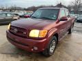 2004 Tundra Limited Double Cab 4x4 #11