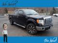 2010 F150 XLT SuperCrew 4x4 #1 2010 F150 XLT SuperCrew 4x4 #1