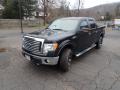 2010 F150 XLT SuperCrew 4x4 #7 2010 F150 XLT SuperCrew 4x4 #7