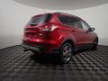2014 Escape SE 1.6L EcoBoost 4WD #16