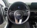  2021 Kia Forte LXS Steering Wheel #27