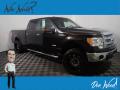 2013 F150 XLT SuperCrew 4x4 #1 2013 F150 XLT SuperCrew 4x4 #1