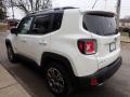 2017 Renegade Limited 4x4 #5