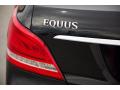  2013 Hyundai Equus Logo #9