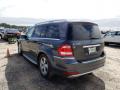 2010 GL 450 4Matic #2 2010 GL 450 4Matic #2