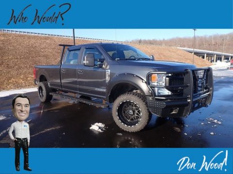 Magnetic Ford F350 Super Duty XL Crew Cab 4x4.  Click to enlarge.