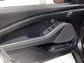 Door Panel of 2021 Ford Mustang Mach-E Select eAWD #20