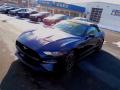 2019 Mustang GT Premium Convertible #7