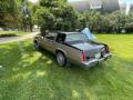  1981 Cadillac Eldorado Sierra Gold Metallic #10