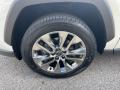 2022 Toyota RAV4 XLE Premium AWD Wheel #24