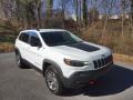 Front 3/4 View of 2022 Jeep Cherokee Trailhawk 4x4 #4