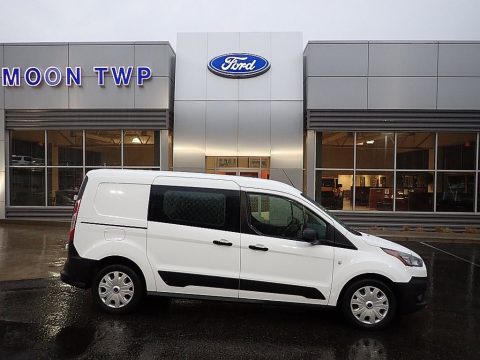 Frozen White Ford Transit Connect XL Van.  Click to enlarge.