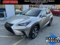 2019 NX 300 F Sport AWD #1