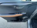Door Panel of 2019 Lexus NX 300 F Sport AWD #19