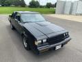  1987 Buick Regal Black #5