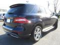 2015 ML 350 4Matic #10