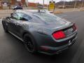  2022 Ford Mustang Carbonized Gray Metallic #5