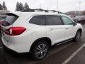 2019 Ascent Touring #4