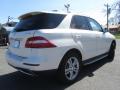 2014 ML 350 4Matic #10