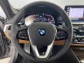 2022 BMW 5 Series 530e Sedan Steering Wheel #14