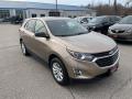 2019 Equinox LS AWD #4 2019 Equinox LS AWD #4