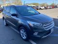 2018 Ford Escape SEL 4WD Magnetic