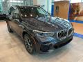 2022 BMW X5 xDrive40i Arctic Gray Metallic
