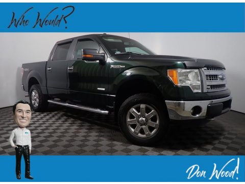 Green Gem Metallic Ford F150 XLT SuperCrew 4x4.  Click to enlarge.