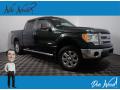2013 F150 XLT SuperCrew 4x4 #1