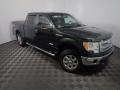 2013 F150 XLT SuperCrew 4x4 #2