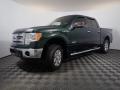 2013 F150 XLT SuperCrew 4x4 #7