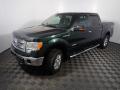 2013 F150 XLT SuperCrew 4x4 #8