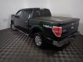 2013 F150 XLT SuperCrew 4x4 #10