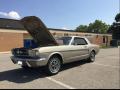  1965 Ford Mustang Champagne Beige #16