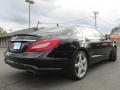 2013 CLS 550 Coupe #10