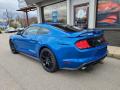 2019 Mustang EcoBoost Fastback #29