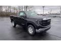 Front 3/4 View of 2022 GMC Sierra 1500 Pro Regular Cab 4WD #2