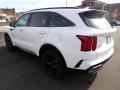 2022 Sorento SX AWD #6 2022 Sorento SX AWD #6
