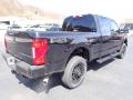 2021 F250 Super Duty Lariat Crew Cab 4x4 #8