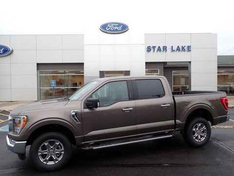 Stone Gray Metallic Ford F150 XLT SuperCrew 4x4.  Click to enlarge.