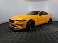 2019 Mustang EcoBoost Fastback #8